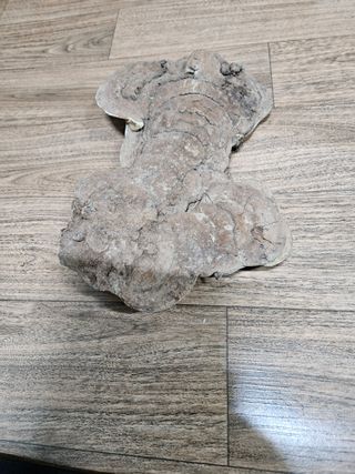 딸기11775님의 자유주제 · 자유게시판 작성글 사진