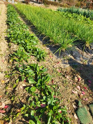 늘찬님의 자유주제 · 자유게시판 작성글 사진