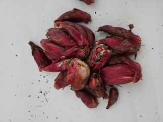 김제일주농장님의 자유주제 · 자유게시판 작성글 사진