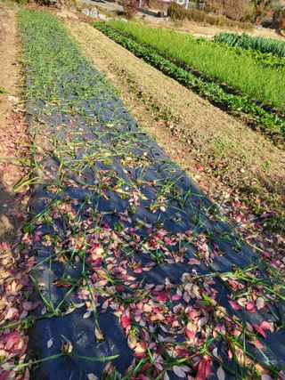 늘찬님의 자유주제 · 자유게시판 작성글 사진