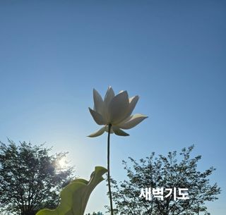 두레연님의 작성글 사진