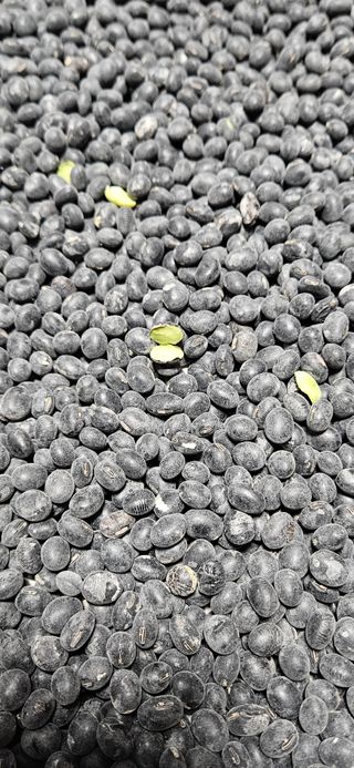 힐스님의 자유주제 · 자유게시판 작성글 사진