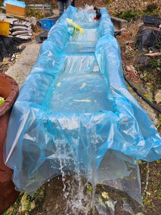 백용기님의 자유주제 · 자유게시판 작성글 사진