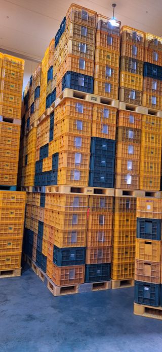 박원주(다원농장)님의 자유주제 · 자유게시판 작성글 사진