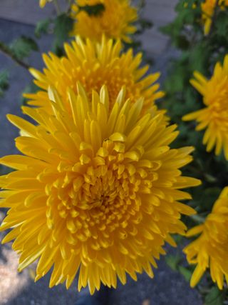 무형교회목사 안영진님의 작성글 사진