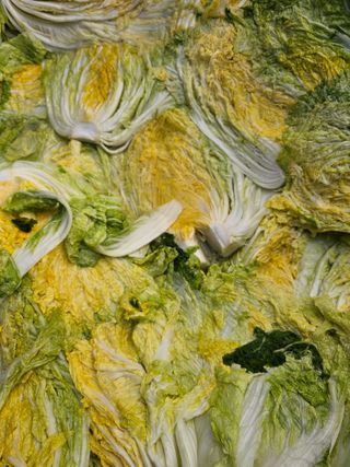 백용기님의 자유주제 · 자유게시판 작성글 사진