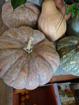 팜모닝 · 게시글 이미지