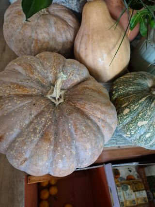 귤19190님의 작성글 사진