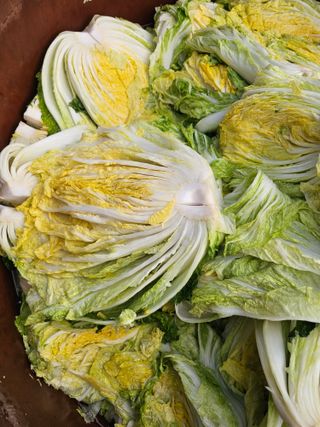 백용기님의 자유주제 · 자유게시판 작성글 사진