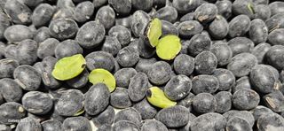 힐스님의 자유주제 · 자유게시판 작성글 사진