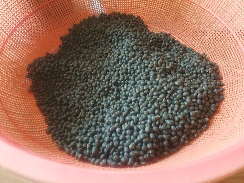 남궁홍님의 장터 판매 상품 [서리태] 첨부 사진