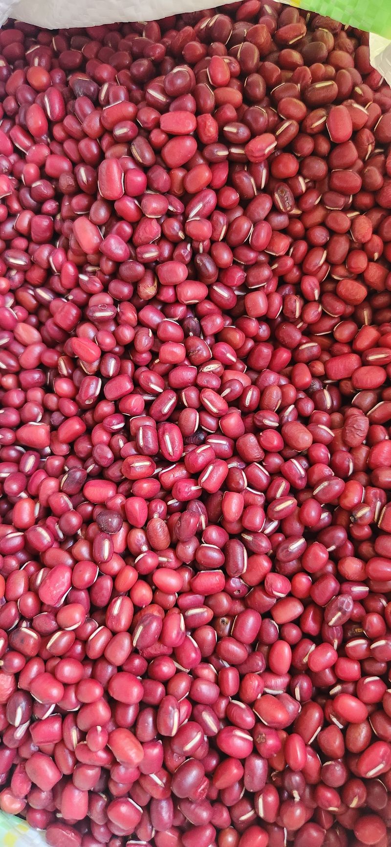 임원식님의 장터 판매 상품 [적두 아라리팥1kg] 첨부 사진