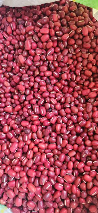 임원식님의 작성글 사진