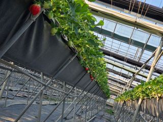 안성화님의 자유주제 · 자유게시판 작성글 사진