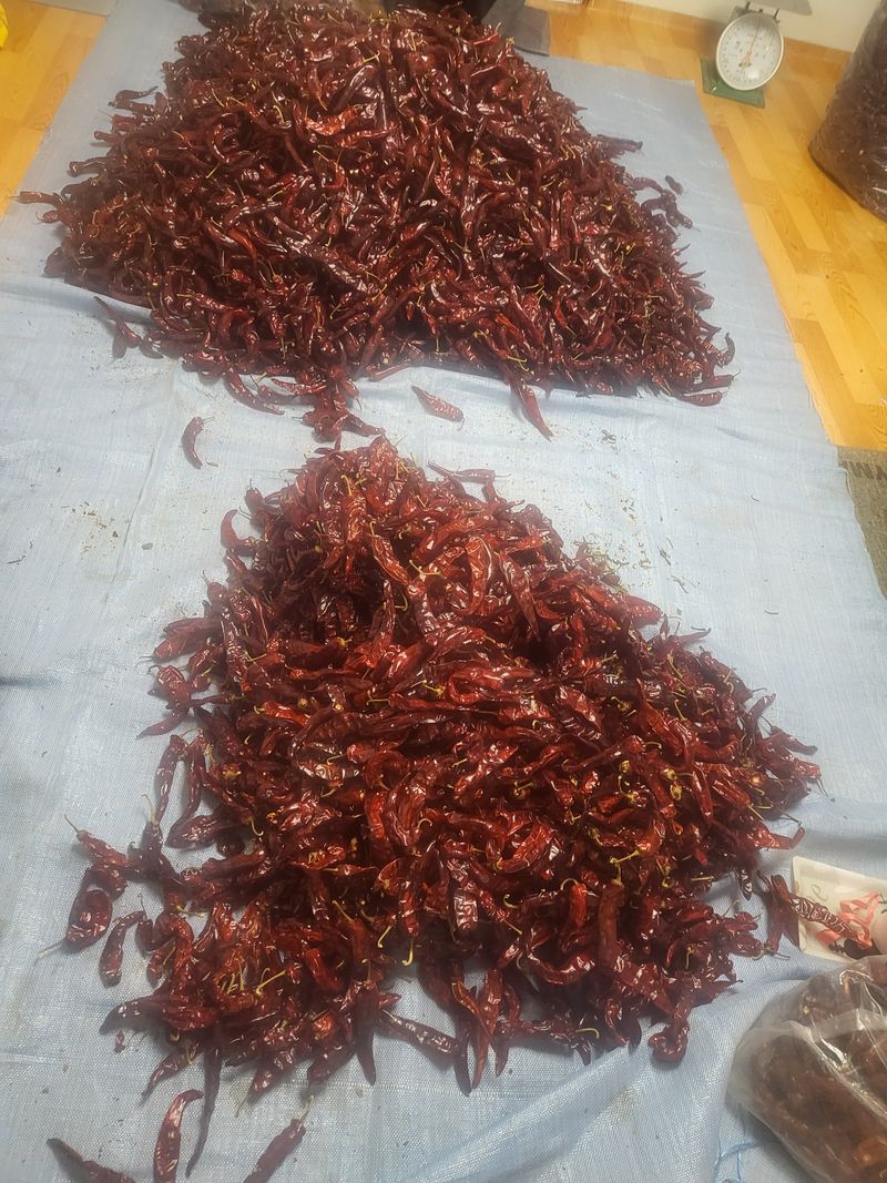 박종수님의 장터 판매 상품 [고춧가루 50근판매] 첨부 사진