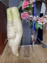 팜모닝 자유주제·자유게시판 게시글 이미지