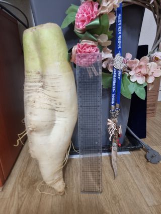 정석범님의 자유주제 · 자유게시판 작성글 사진