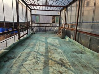 백용기님의 자유주제 · 자유게시판 작성글 사진