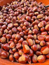 팜모닝 · 게시글 이미지