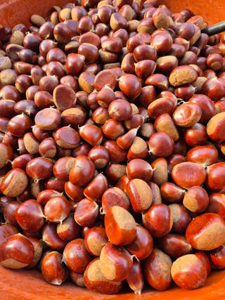 신재경님의 작성글 사진