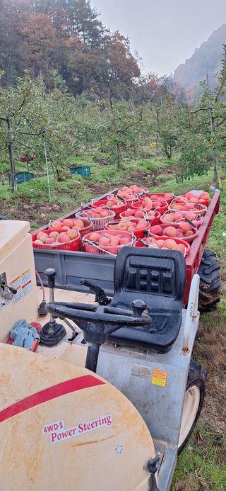박원주(다원농장)님의 자유주제 · 자유게시판 작성글 사진