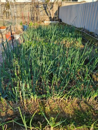 정석범님의 작성글 사진