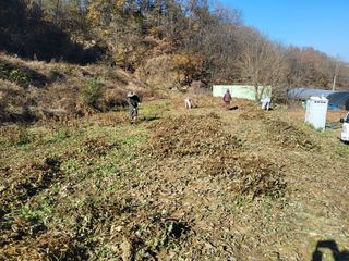 지대식님의 자유주제 · 자유게시판 작성글 사진