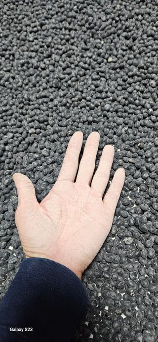 힐스님의 자유주제 · 자유게시판 작성글 사진