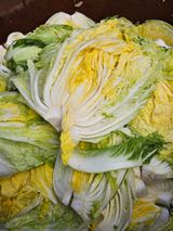 팜모닝 자유주제·자유게시판 게시글 이미지