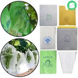 팜모닝 · 게시글 이미지