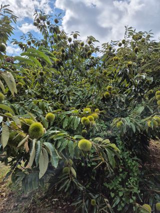 신재경님의 작성글 사진
