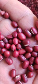 팜모닝 · 게시글 이미지