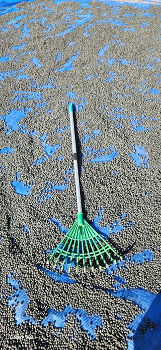 힐스님의 자유주제 · 자유게시판 작성글 사진