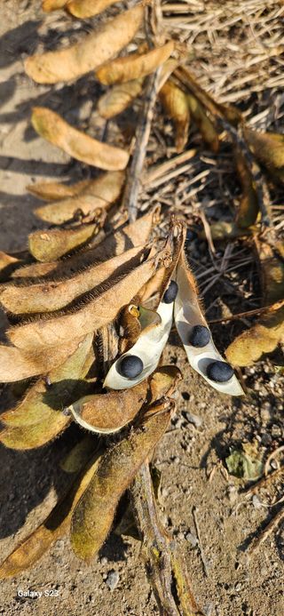 힐스님의 자유주제 · 자유게시판 작성글 사진