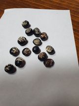 팜모닝 자유주제·자유게시판 게시글 이미지