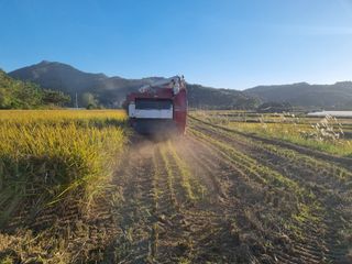 올뱅이님의 작성글 사진