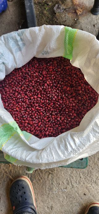 임원식님의 작성글 사진