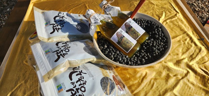 임원식님의 장터 판매 상품 [새바람서리태콩 1kg] 첨부 사진