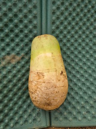 정태권님의 작성글 사진