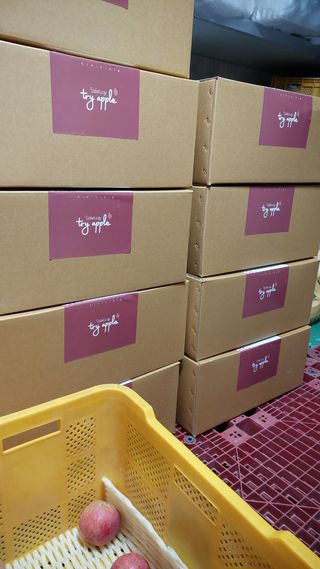 트라이애플1님의 자유주제 · 자유게시판 작성글 사진