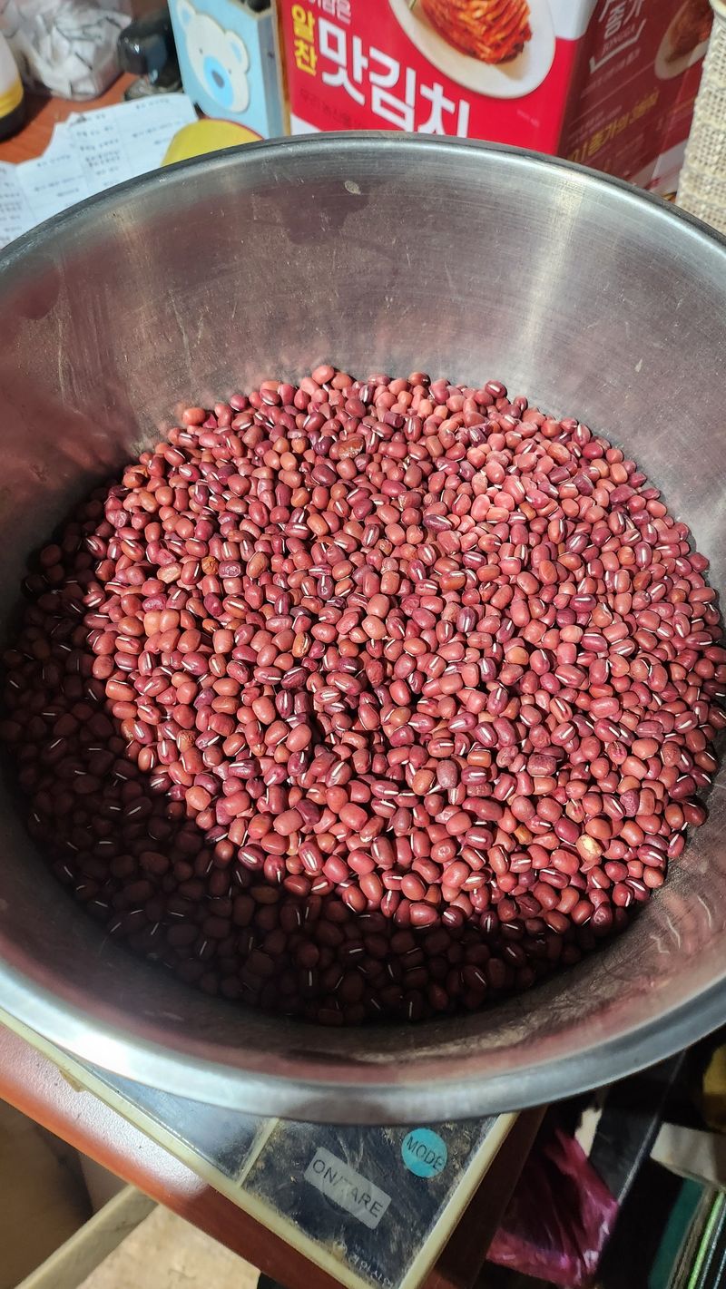 조새힘님의 장터 판매 상품 [25년 왕팥 종자 100g] 첨부 사진