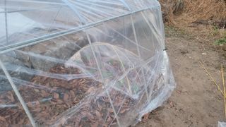 장석오님의 자유주제 · 자유게시판 작성글 사진