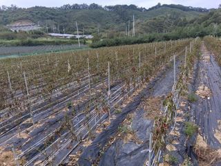 설진완님의 작성글 사진