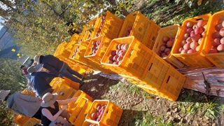 트라이애플1님의 자유주제 · 자유게시판 작성글 사진