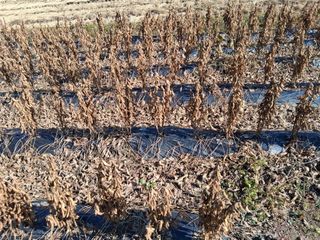 설진완님의 작성글 사진