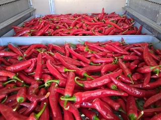 설진완님의 작성글 사진