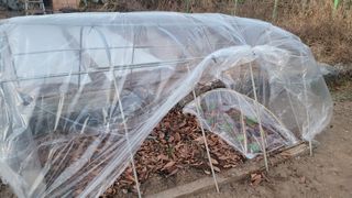 장석오님의 자유주제 · 자유게시판 작성글 사진