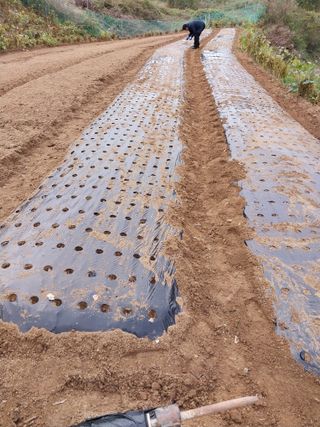 정금천님의 자유주제 · 자유게시판 작성글 사진