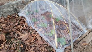 장석오님의 자유주제 · 자유게시판 작성글 사진