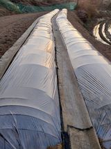 팜모닝 자유주제·자유게시판 게시글 이미지